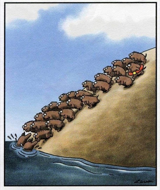 Lemming Herd Mentality